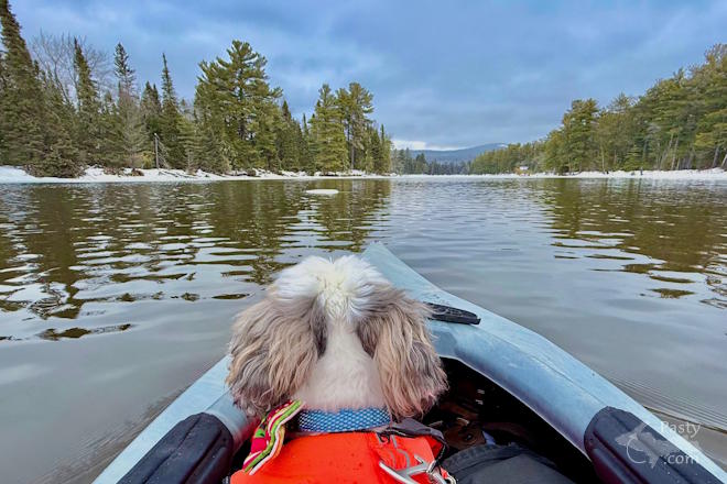 Photo by Jeff Dennis