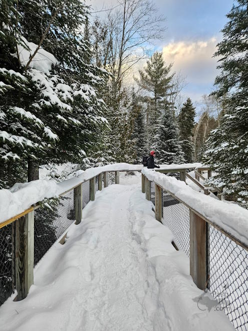 Photo by Michelle Lutke