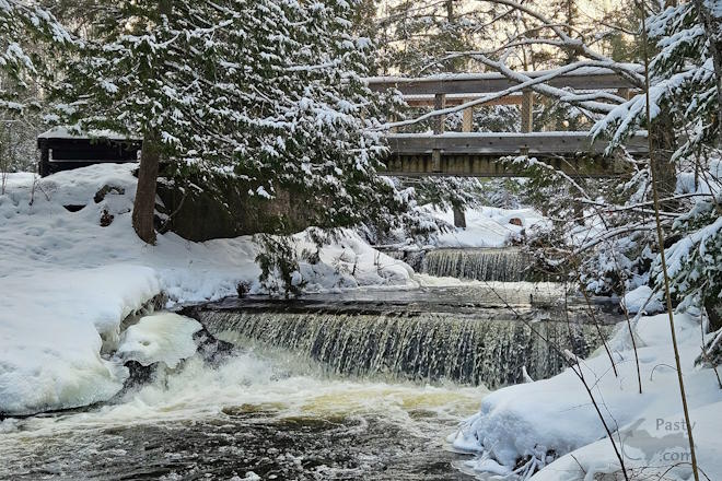 Photo by Michelle Lutke