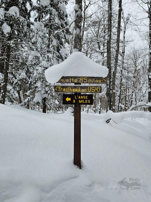 Photo by Michelle Lutke