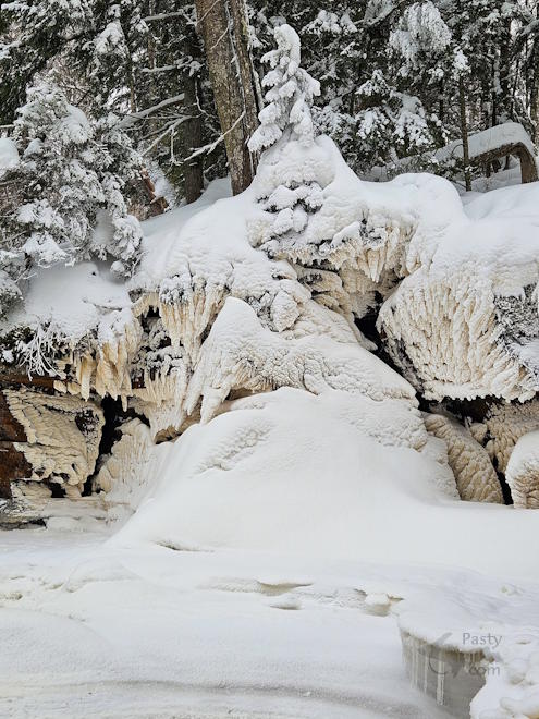 Photo by Michelle Lutke