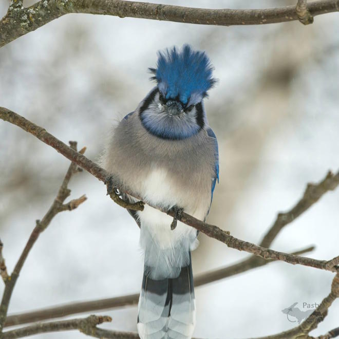 Photo by Kevin Dunham