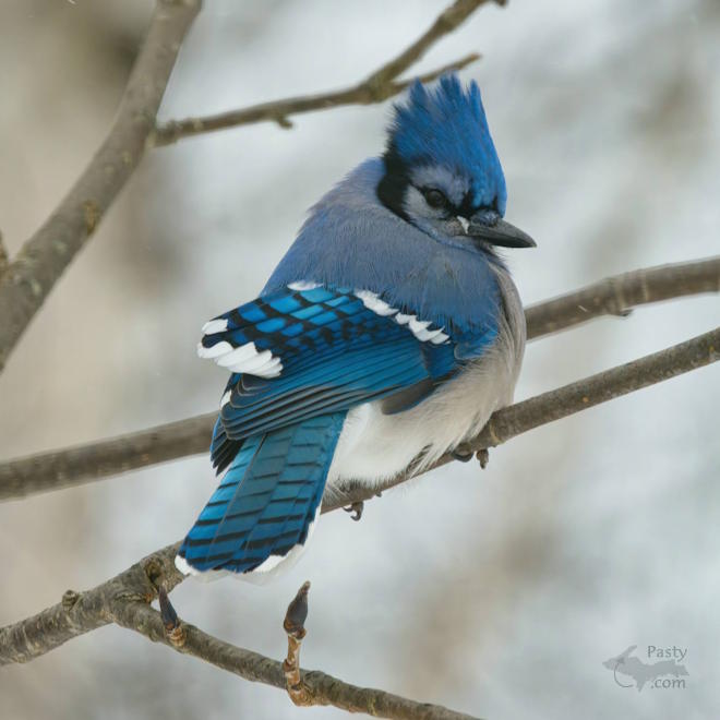 Photo by Kevin Dunham