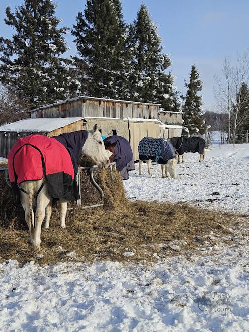 Photo by Mandy Cadwell