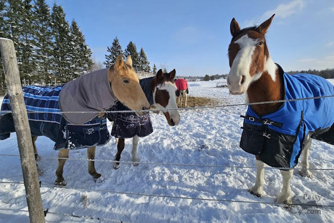 Photo by Mandy Cadwell