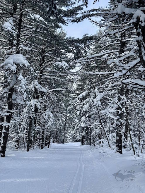 Photo by Judy Byykkonen