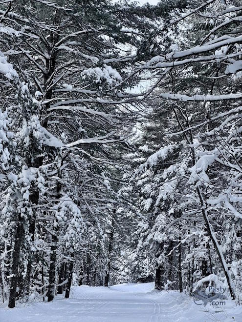 Photo by Judy Byykkonen