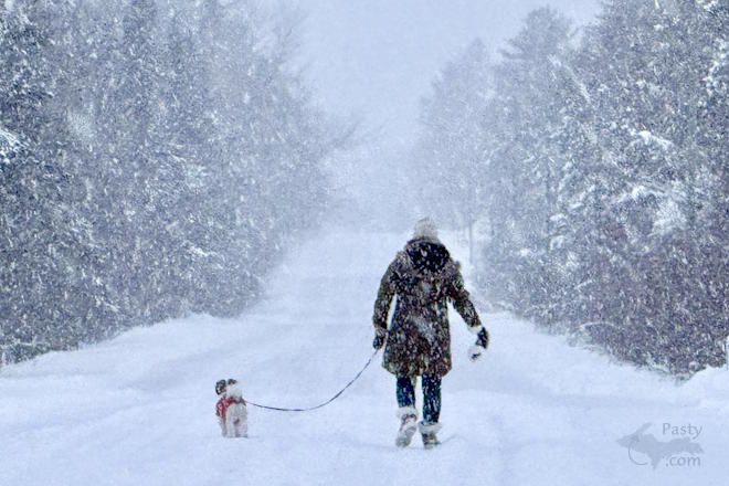 Photo by Jeff Dennis