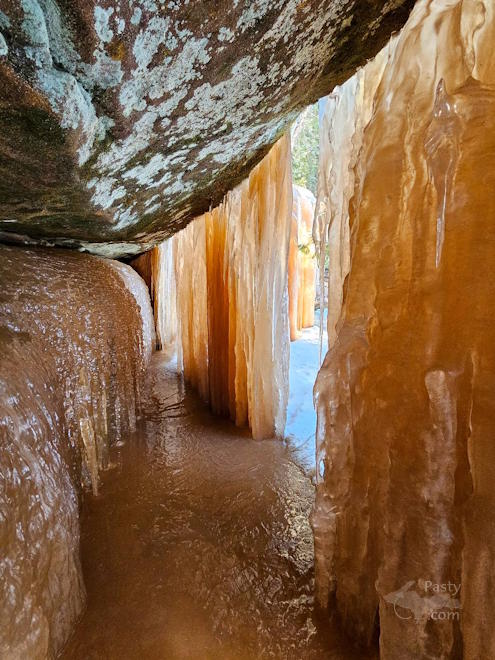 Photo by Michelle Lutke