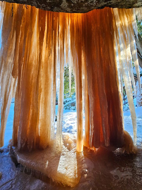 Photo by Michelle Lutke