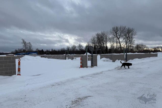 Photo by Barbara Bouwkamp