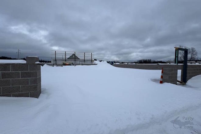 Photo by Barbara Bouwkamp