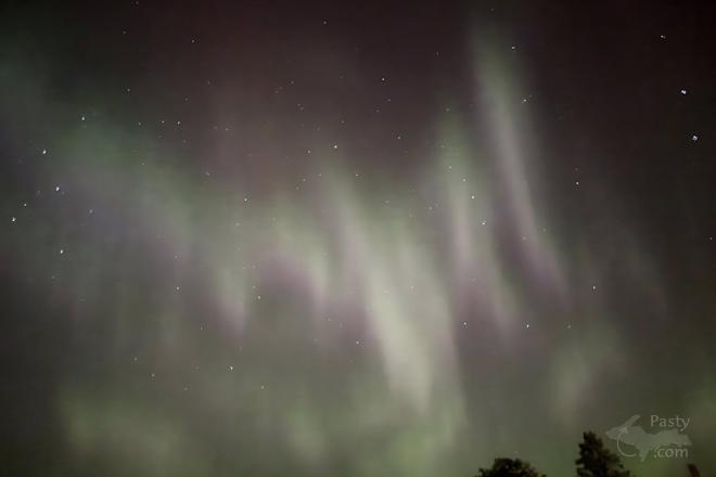 Photo by Sarah Pini Wilhelm