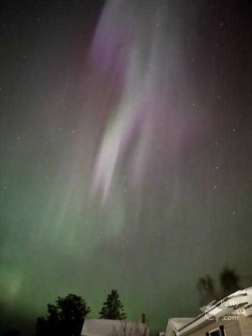 Photo by Sarah Pini Wilhelm