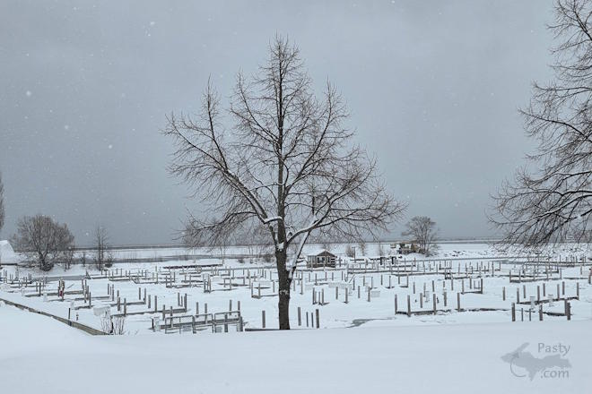 Photo by Laurie Bashaw