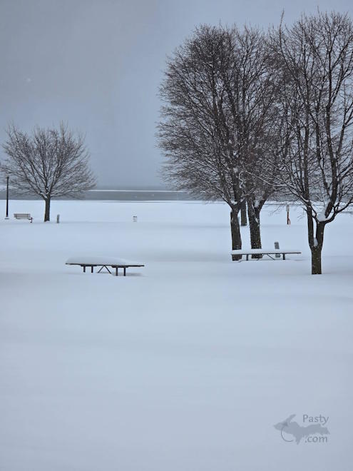 Photo by Laurie Bashaw