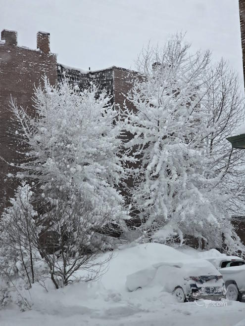 Photo by Debbie Jarve