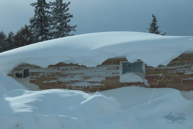 Photo by Debbie Jarve