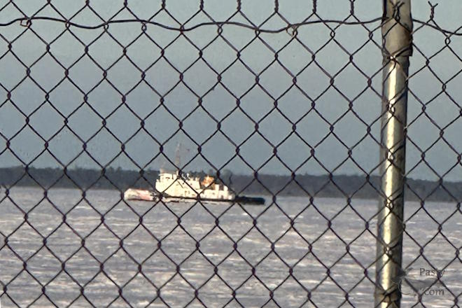 Photo by Madison Scheriff