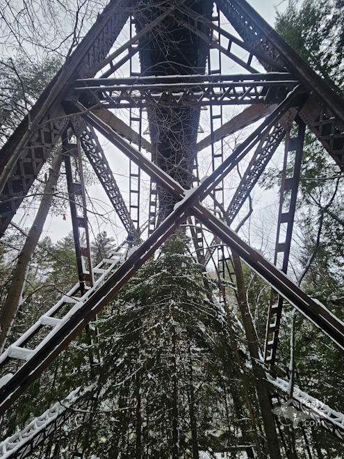 Photo by Michelle Lutke