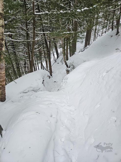 Photo by Michelle Lutke