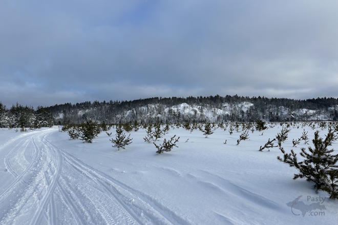 Photo by Madison Scheriff