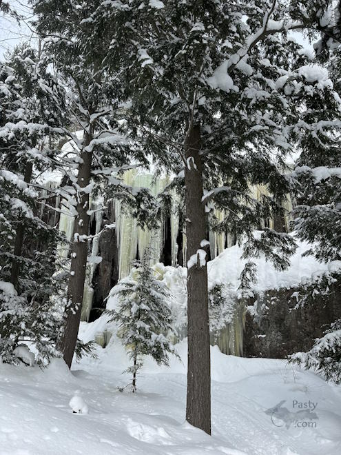 Photo by Madison Scheriff