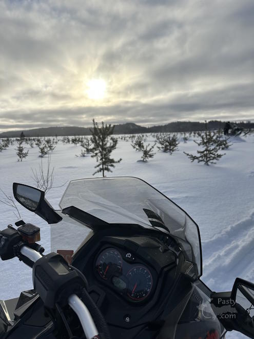 Photo by Madison Scheriff