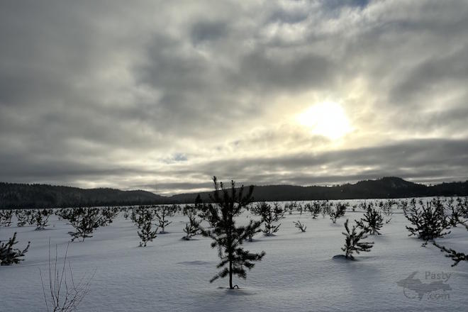 Photo by Madison Scheriff