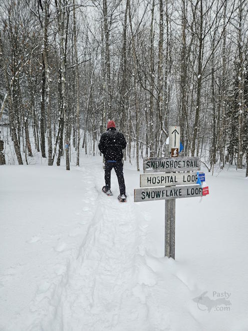 Photo by Michelle Lutke