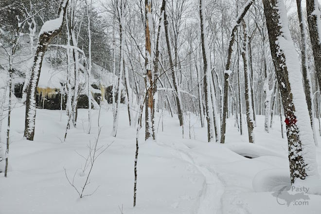 Photo by Michelle Lutke