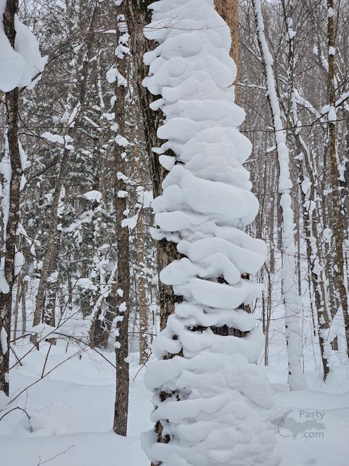 Photo by Michelle Lutke