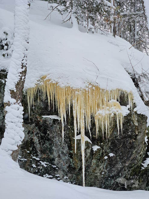 Photo by Michelle Lutke