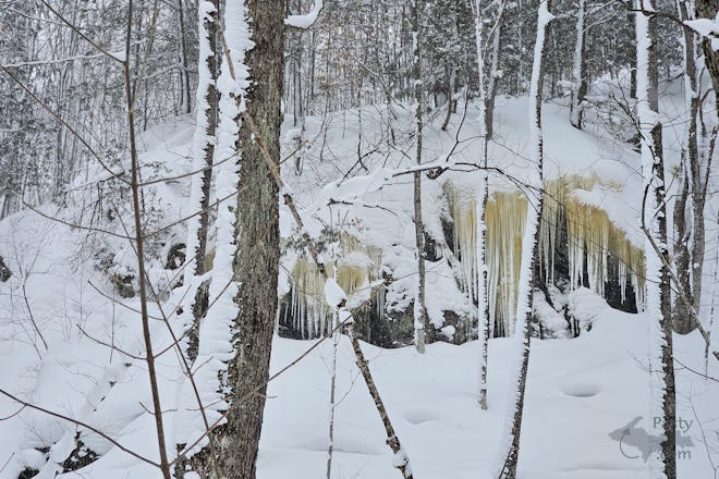 Photo by Michelle Lutke