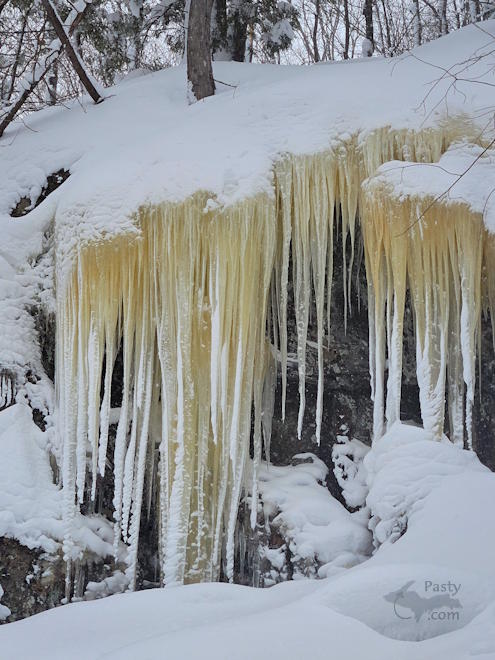 Photo by Michelle Lutke