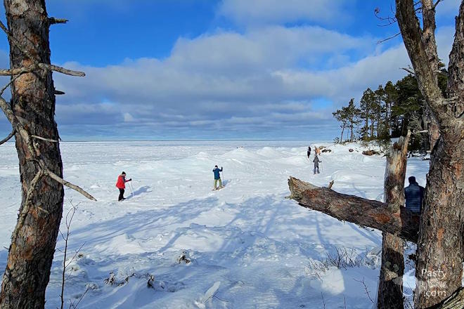 Photo by Stacey Flood