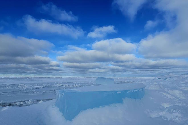 Photo by Stacey Flood