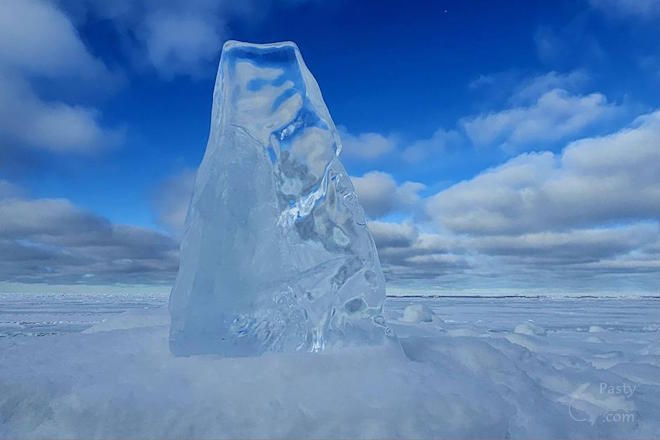 Photo by Stacey Flood