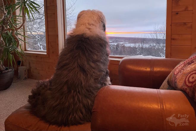 Photo by Joy Ziemnick