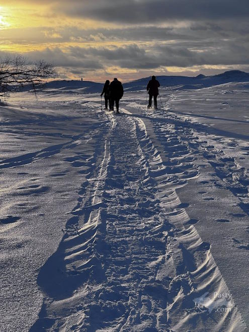 Photo by Judy Byykkonen