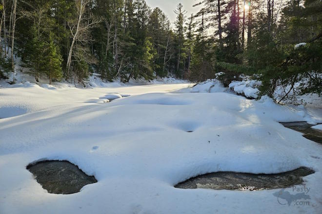 Photo by Michelle Lutke