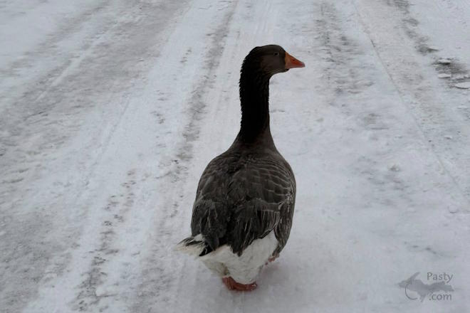 Photo by Danielle Putnam