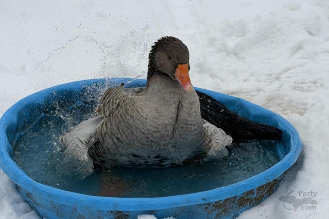 Photo by Danielle Putnam