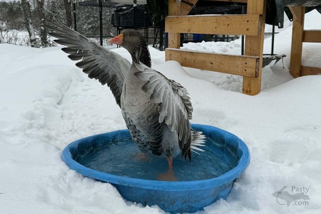 Photo by Danielle Putnam