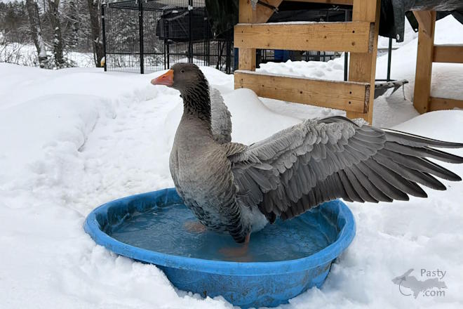 Photo by Danielle Putnam