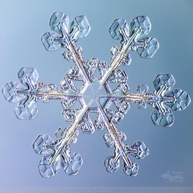 Photo by Shawn Malone