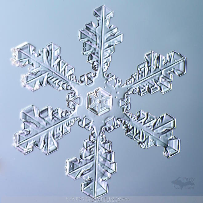 Photo by Shawn Malone