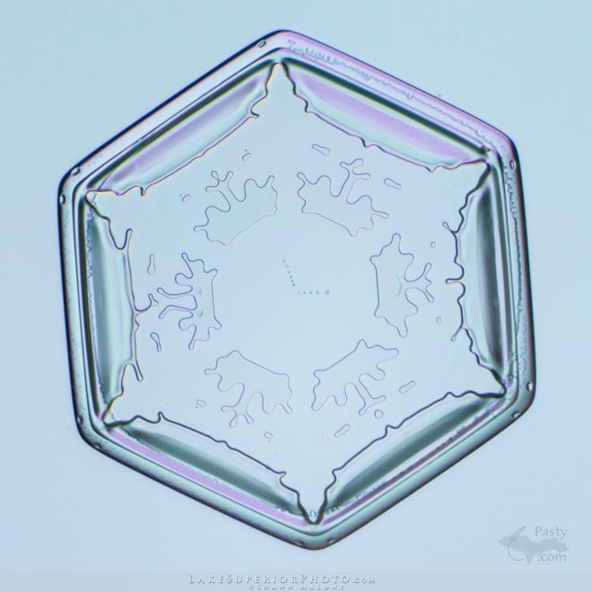 Photo by Shawn Malone