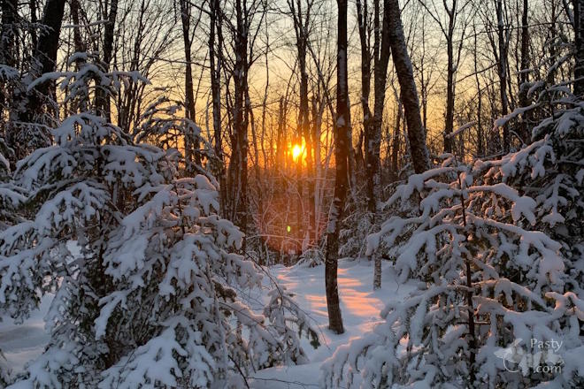 Photo by Beth Jukuri