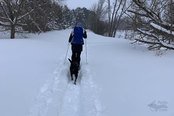 Photo by Beth Jukuri